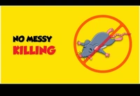 BITTER - POWERFUL RAT REPELLENT SPRAY -155 GM (180ML)` - *** LOW PRICE GUARANTEE ***